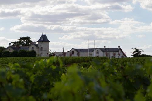 La Maison des Vignes - Domaine de la Soucherie