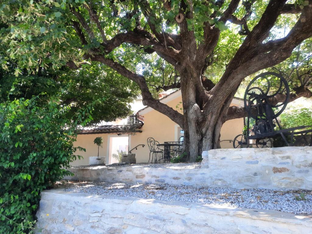 La maison du soleil, l’aulhère