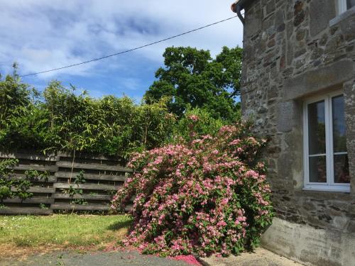 la maison perchée