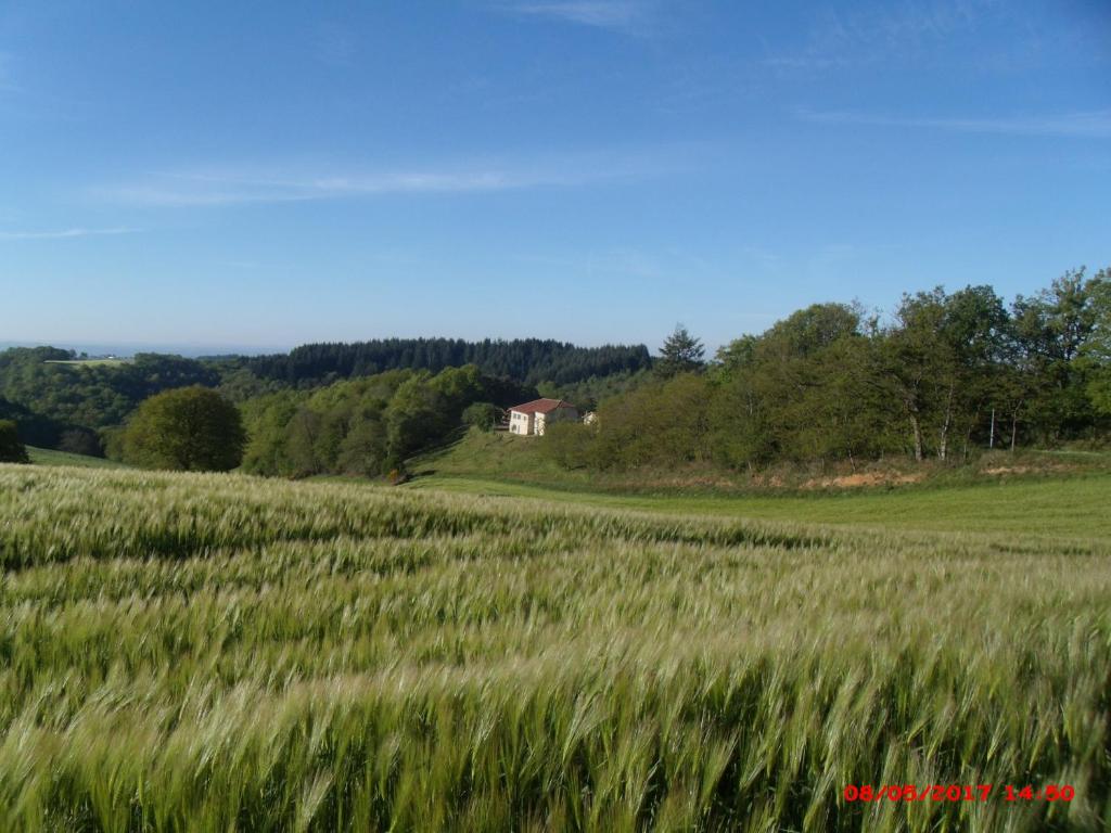 La marionnette du plateau