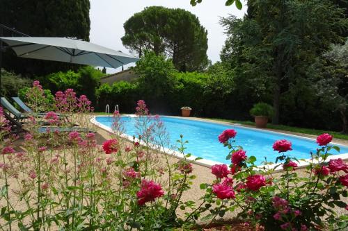 La Mésange Bleue - piscine privée