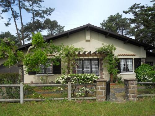 La palombe