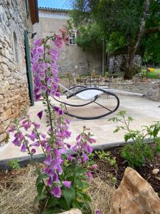 La Pause noble val