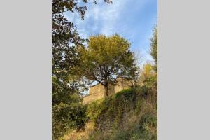 Maison de vacances La Pellegrine, Parc national des Cévennes Le Salson 48240 Le Salson Languedoc-Roussillon