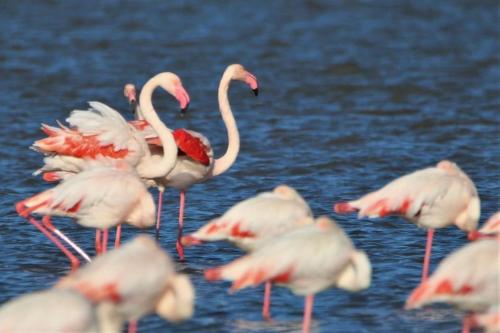 LA PERLE VUE MER PIEDS DANS L'EAU CLIM WIFI