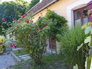 La petite Bardouillère