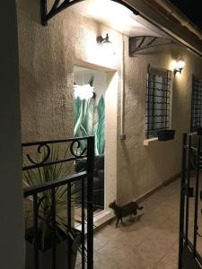 La petite maison