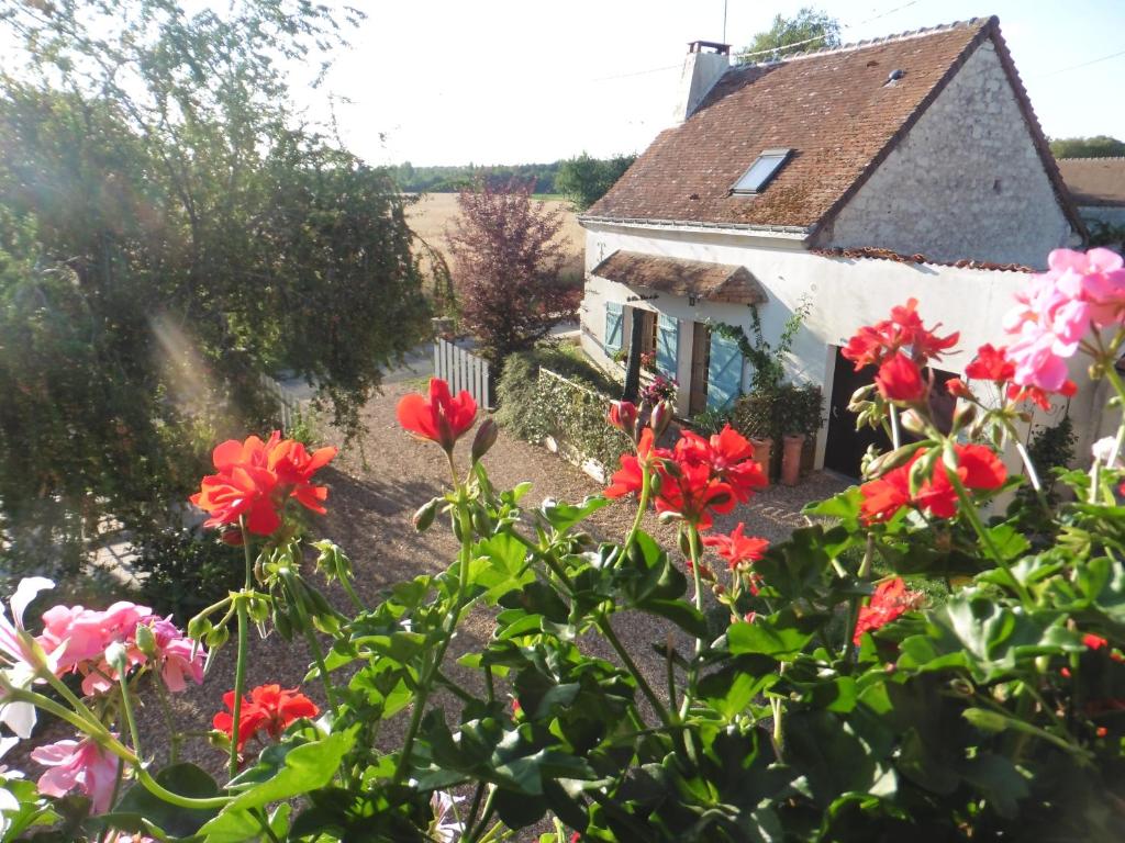 La Petite Maison de Sue Les Hautes Guissinieres, 49390 Parçay-les-Pins