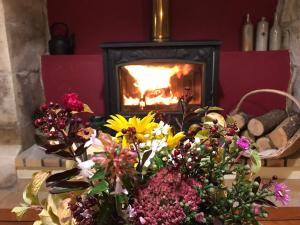 Maison de vacances La Petite Maison de Sue Les Hautes Guissinieres 49390 Parçay-les-Pins Pays de la Loire