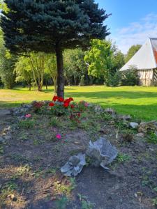 La petite maison des monts