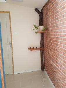 La petite maison