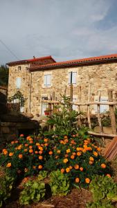 Maison de vacances La Pierre du Grain 10 Le Grain 63190 Ravel Auvergne