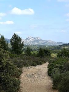 La Pitchoune : Gîte aux pieds des Alpilles