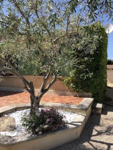 La Pitchoune : Gîte aux pieds des Alpilles