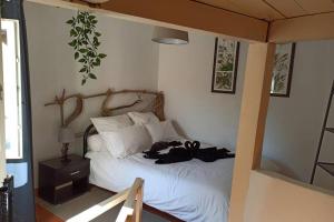 La Pitchounette micro-maison de charme
