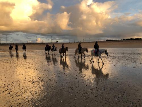 La plage au bout du jardin / Sword Beach cottage