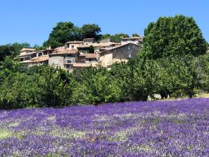 Maison de vacances La Pommerie en Luberon Quartier La Pommerie 84400 Castellet Provence-Alpes-Côte d\'Azur