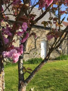 La Tireliere, longère bord de mer avec jardin