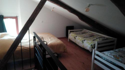 La tourterelle