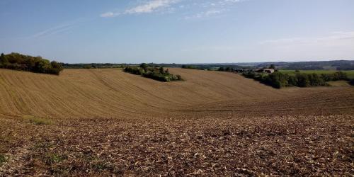 La Tranquillite, La Serenite