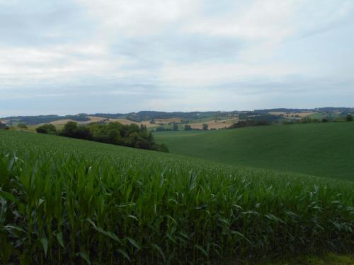 La Tranquillité, Le Calme