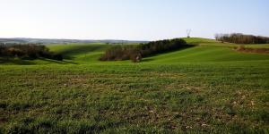 La Tranquillité, Le Repos