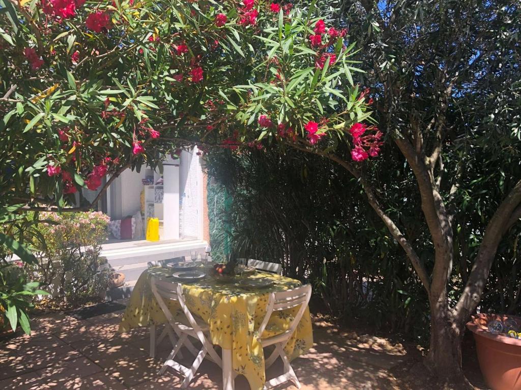La villa Acacia 20138 Coti-Chiavari