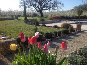 Lamamotte Gite Holiday Home