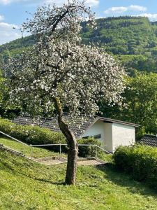 Maison de vacances Landhaus am See 934 Ferienstraße 34 54636 Biersdorf am See Rhénanie-Palatinat