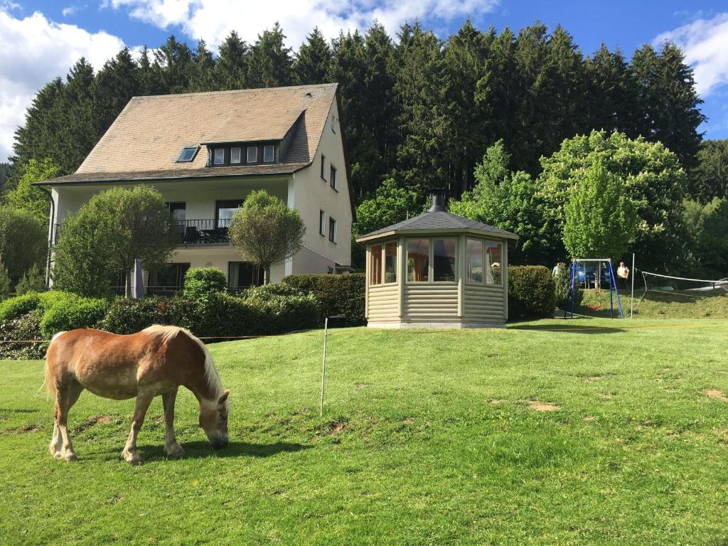 Landhaus Mettenberg Holzstrasse 27, 59889 Niedersalwey