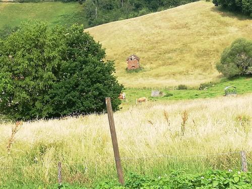 Lanteuil Maison de vacances à côté de brive et collonge la rouge