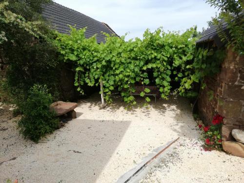 Lanteuil Maison de vacances à côté de brive et collonge la rouge