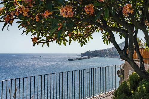 Lazareto Mar by An Island Apart