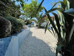 Le banc d'Arguin