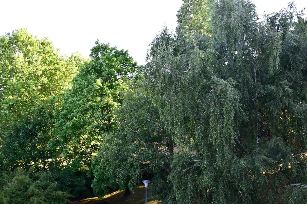 LE BON ABRI JURA 39130 Marigny