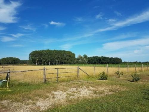 Le Bonheur est dans le Pré.