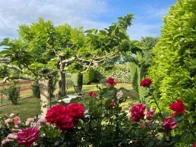 le cabanon en Provence hameau  des Roux, 04500 Sainte-Croix-de-Verdon