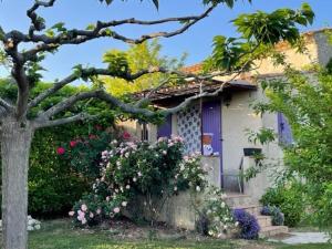 le cabanon en Provence