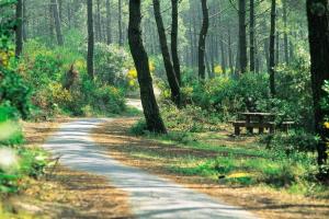Le Carbet Landais