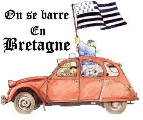 Le Cati Mini