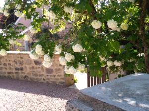 Maison de vacances Le Cèdre enchanté Sous les Foyards 71220 La Guiche Bourgogne