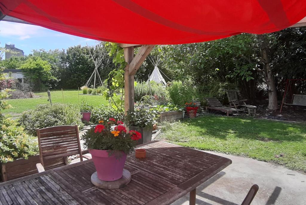 le ch'ti 4 saisons 62500 Saint-Omer