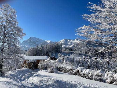 Le Chalet Arpennaz