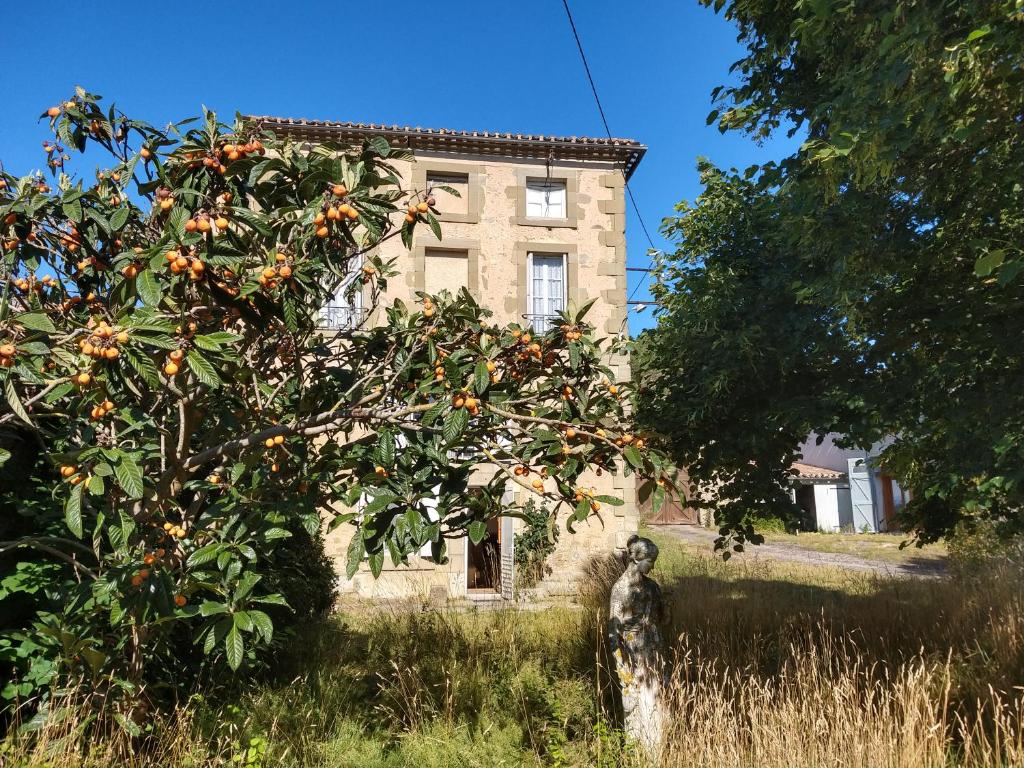 Maison de vacances Le Château 1 Le Château 11190 La Serpent