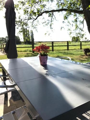 Le cheval blanc