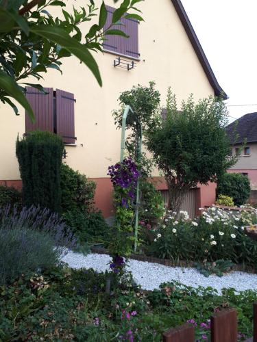 Le chouette gîte