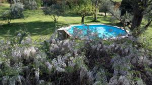 Le Clos des Sources