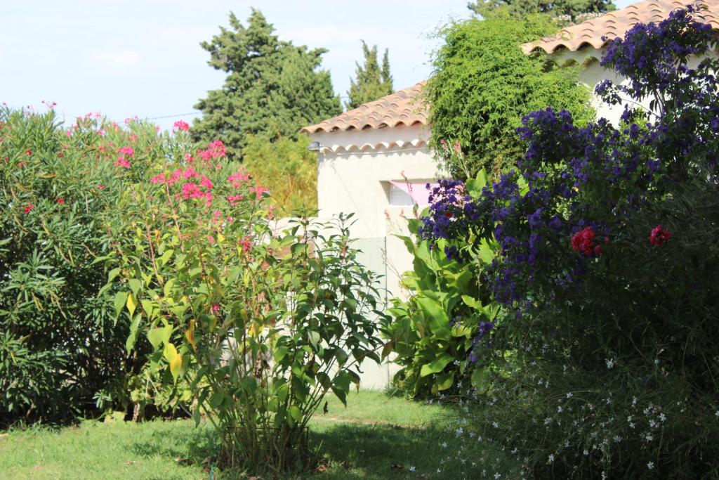 Maison de vacances Le Clos des Vergers Route de Maillane 13150 Tarascon