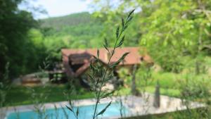 Le Coustal