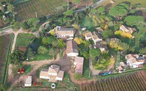 Le cypres aux esperifes